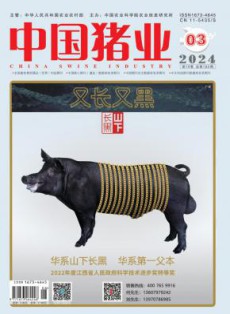 中国猪业